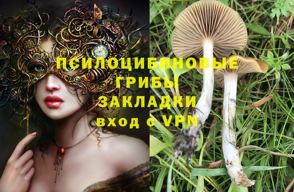 шишки Балахна