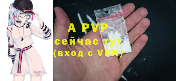 крисы Баксан
