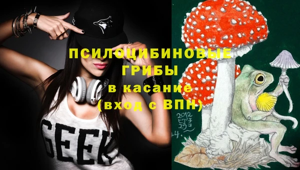 крисы Баксан