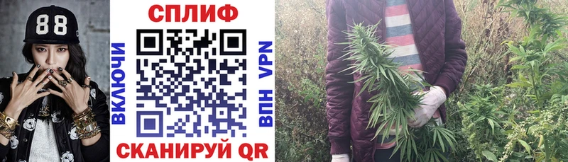 ОМГ ОМГ ССЫЛКА  Уфа  Шишки марихуана тримм 